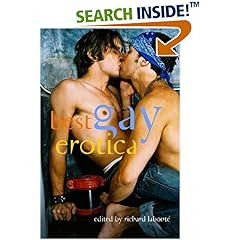 Best Gay Erotica 2007 (Best Gay Erotica) (Paperback)