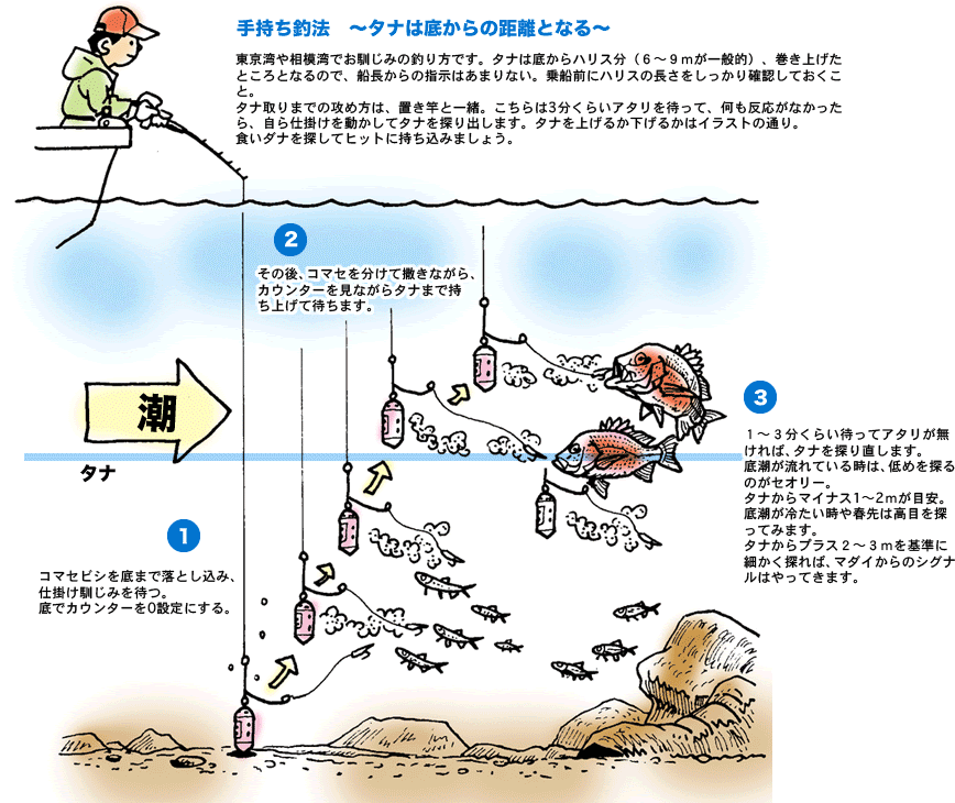Daiwa 21 マダイ イサキ ブリ類を魚を寄せて攻めるコマセ釣りで釣る Web Site