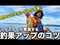 √100以上 磯 エギング タックル 245961-磯 エギング タックル