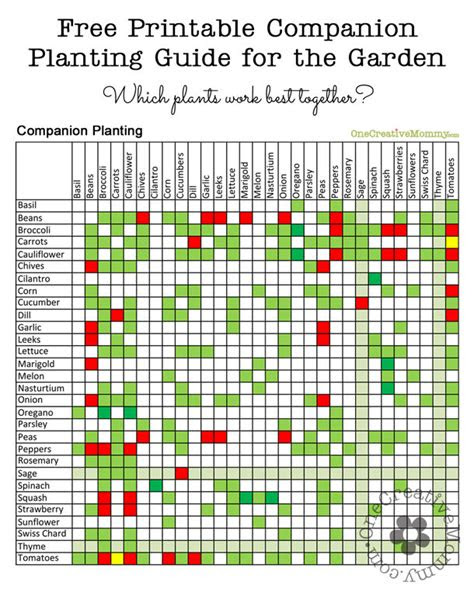 gardening for dummies companion planting free printable