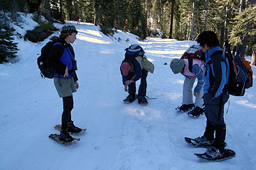 ヨセミテ国立公園大好き Yosemite Jp Snowshoe Trek