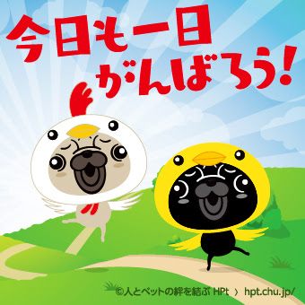 Lineスタンプとして使える無料素材 犬や猫の写真から作る名前入りオーダーメイドペットグッズ専門店 人とペットの絆を結ぶ Hpt