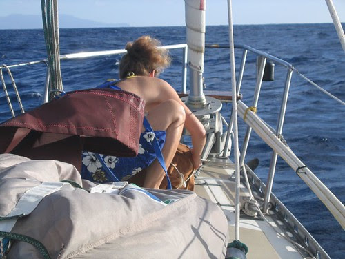 ready the anchor 1