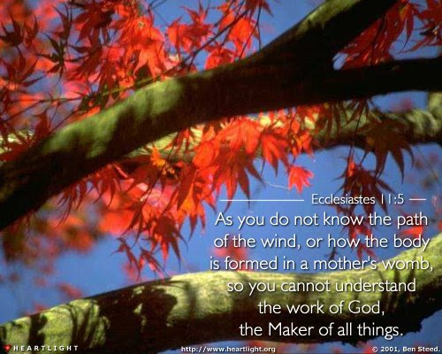 Inspirational illustration of Ecclesiastes 11:5