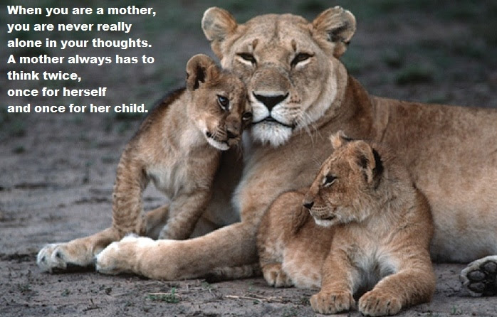 A Lioness And Her Cubs Quotes - Lioness Protecting Her Cub Quotes. QuotesGram