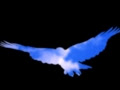 √ダウンロード 羽ばたく鳥 青い 鳥 イラスト かっこいい 181538