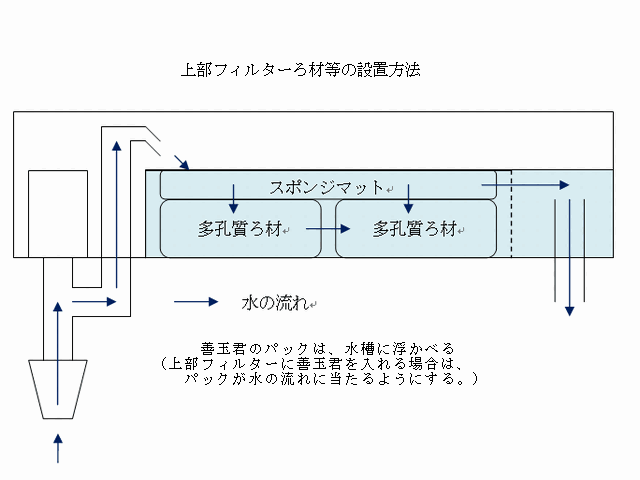金魚水槽用バクテリア 善玉君 を使った金魚水槽の立ち上げ方