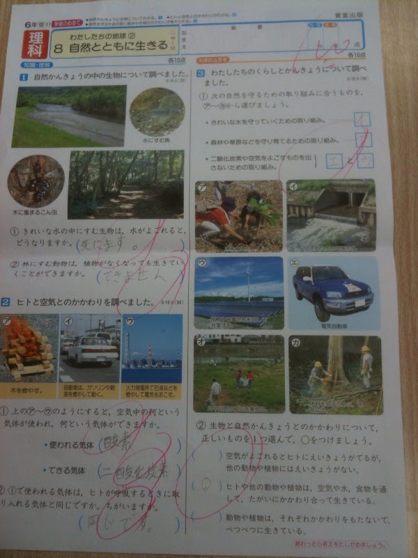 小学６年生理科１００点 向田塾