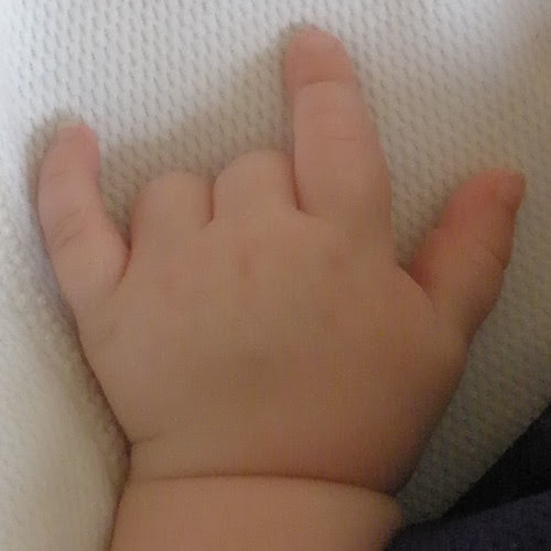 My Niece's Hand