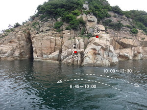Mfgグレ釣り大会in小豆島 ｔ S 伝記