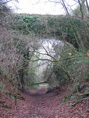 Ide & Teign Valley Line 050