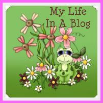 My life in a blog