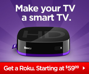 Roku + Netflix = Instant Movies on your TV