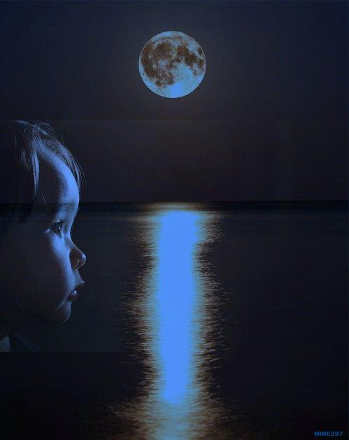 Image hébergée par Casimages.com : votre hébergeur d images simple et gratuit