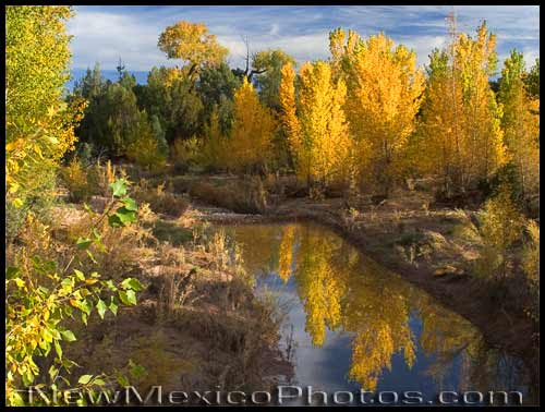 Reflections of fall trees in the water, as viewed from the suspension bridge at Ghost Ranch