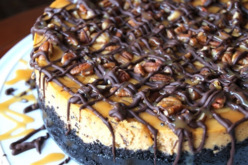 Turtle pumpkin cheesecake
