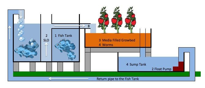 DIY Aquaponics Guides | Japan Aquaponics | Growing Things &amp; In the Ga ...