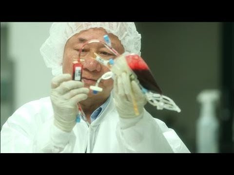 Foto Ethical Issues With Cord Blood Banking