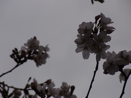Untitled by nofrills