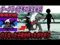 [最も選択された] ダークライ 入手方法 剣盾 756098-ダークライ 入手方法 剣盾