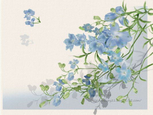 デルフィニウムの花言葉 英語名は イルカの花 春夏秋冬