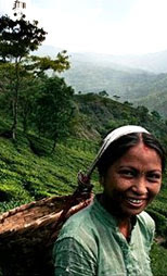 Darjeeling