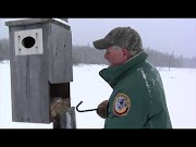 Popullar Wood Duck Boxes, Video Wood Duck House Design Newest!