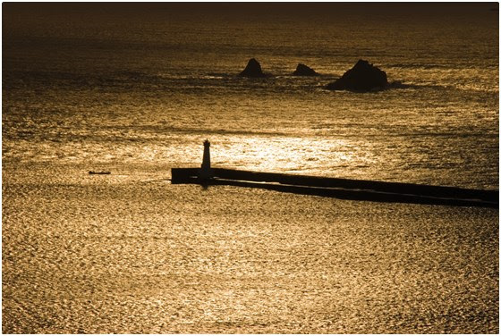 礁溪園仔湯旅店/礁溪-園仔湯旅店/園仔湯/溫泉魚/礁溪/礁溪泡湯/礁溪休息/礁溪民宿/礁溪住宿