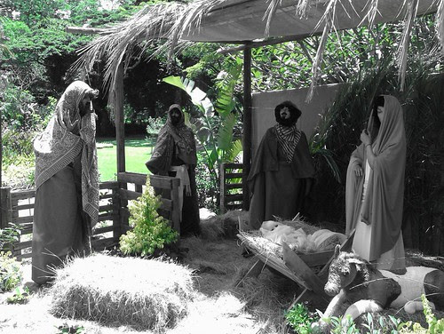 Durban Botanical Gardens