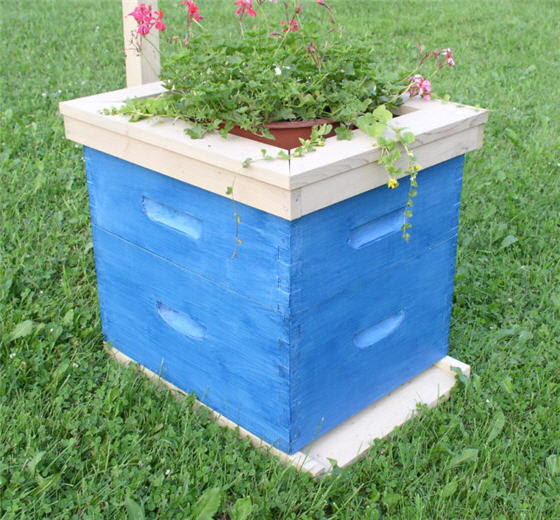 Bee Hive Plans