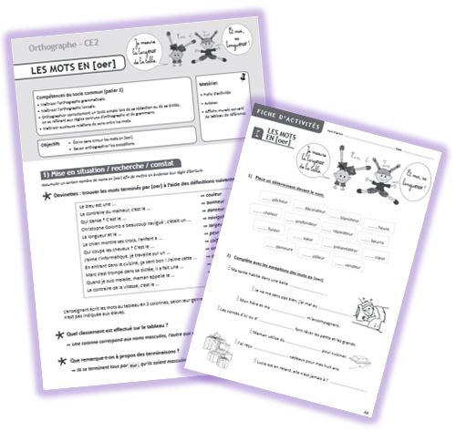 Affichage Orthographe Les Homophones Et Ressources En - 