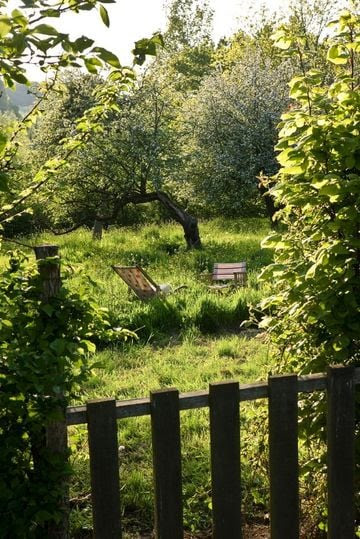 Un dimanche à la campagne