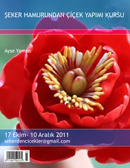 şeker hamurundan çiçek modelleme kursu