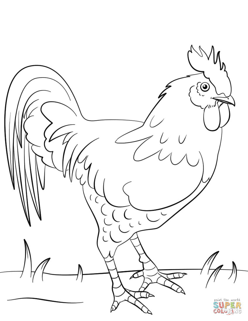 Clicca su disegni da colorare di Gallo per