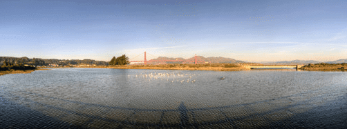 Screenshot from parksconservancy.org/visit/web-cams.html