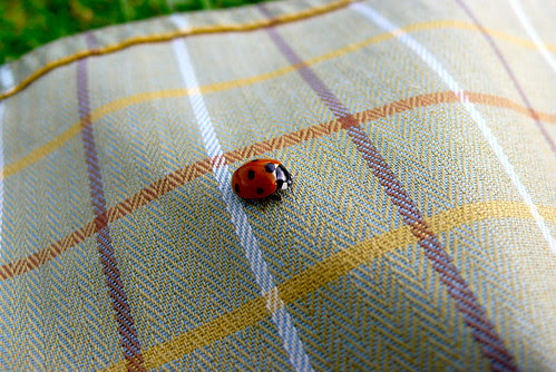 picnic in Green Park