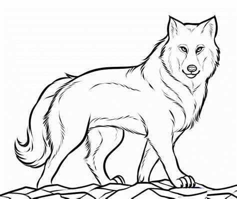There is always the option of making the picture your own by adding something special, like maybe drawing a moon for the howling wolf coloring . free printable wolf coloring pages for kids