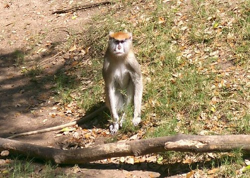 What you looking at?