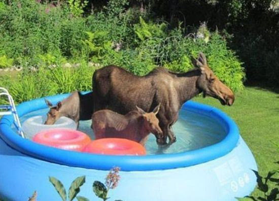 21 Signs It's Too Freaking Hot Outside…