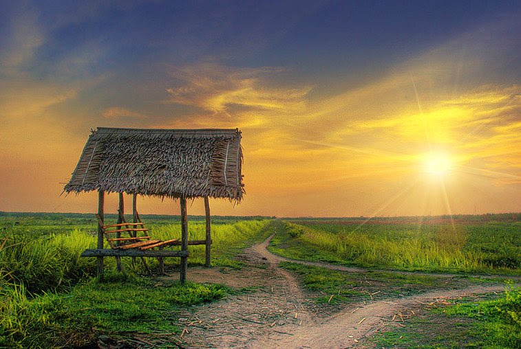 Gambar Desa Dan Sawah