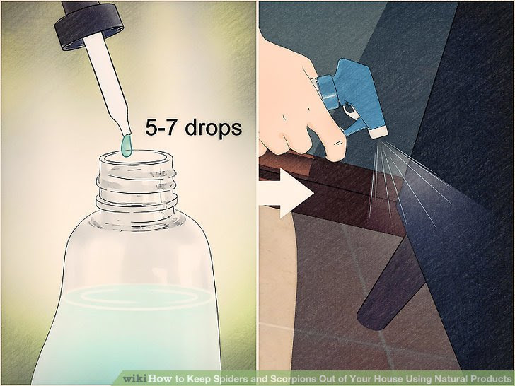 Keep Spiders and Scorpions Out of Your House Using Natural Products Step 2.jpg
