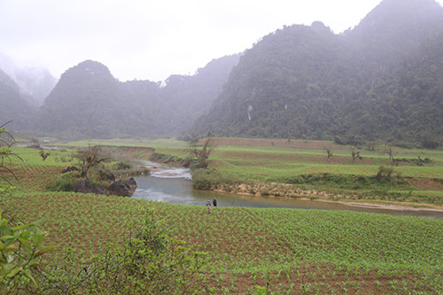 xay-dung-tour-den-phim-truong-kong-skull-island-o-quang-binh-2