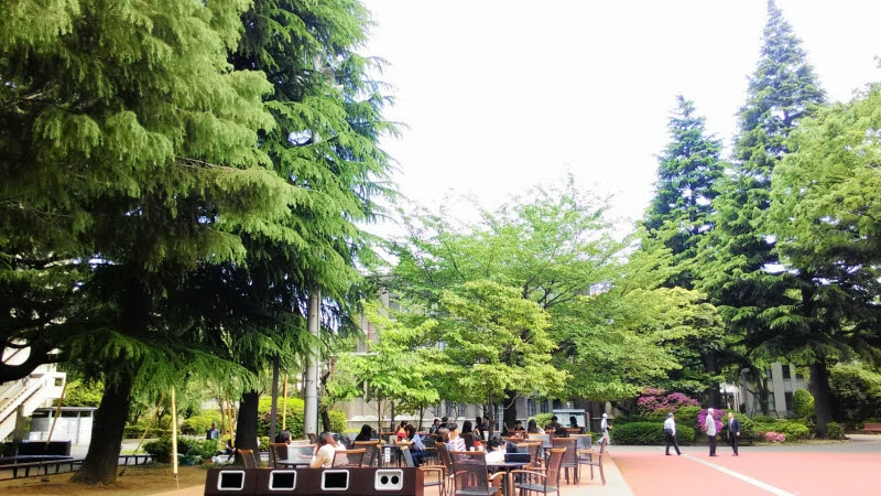 大学フランス文学科同窓会 青山学院校友会