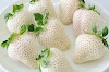 Morango branco いちごホワイト