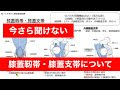 [10000印刷√] 膝蓋 靱帯 214465-靱帯断裂 膝蓋