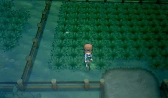 ポケモンxy フレンドサファリ出現ポケモン一覧まとめ 攻略 ポケモン剣盾 ソードシールド 攻略 最新情報 Pokemon Times