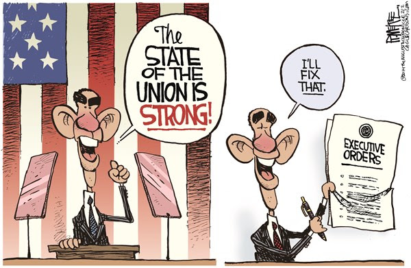 Image result for obama executive order cartoons