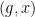 {(g,x)}