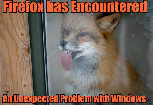 Image result for firefox has encountered a problem with windows