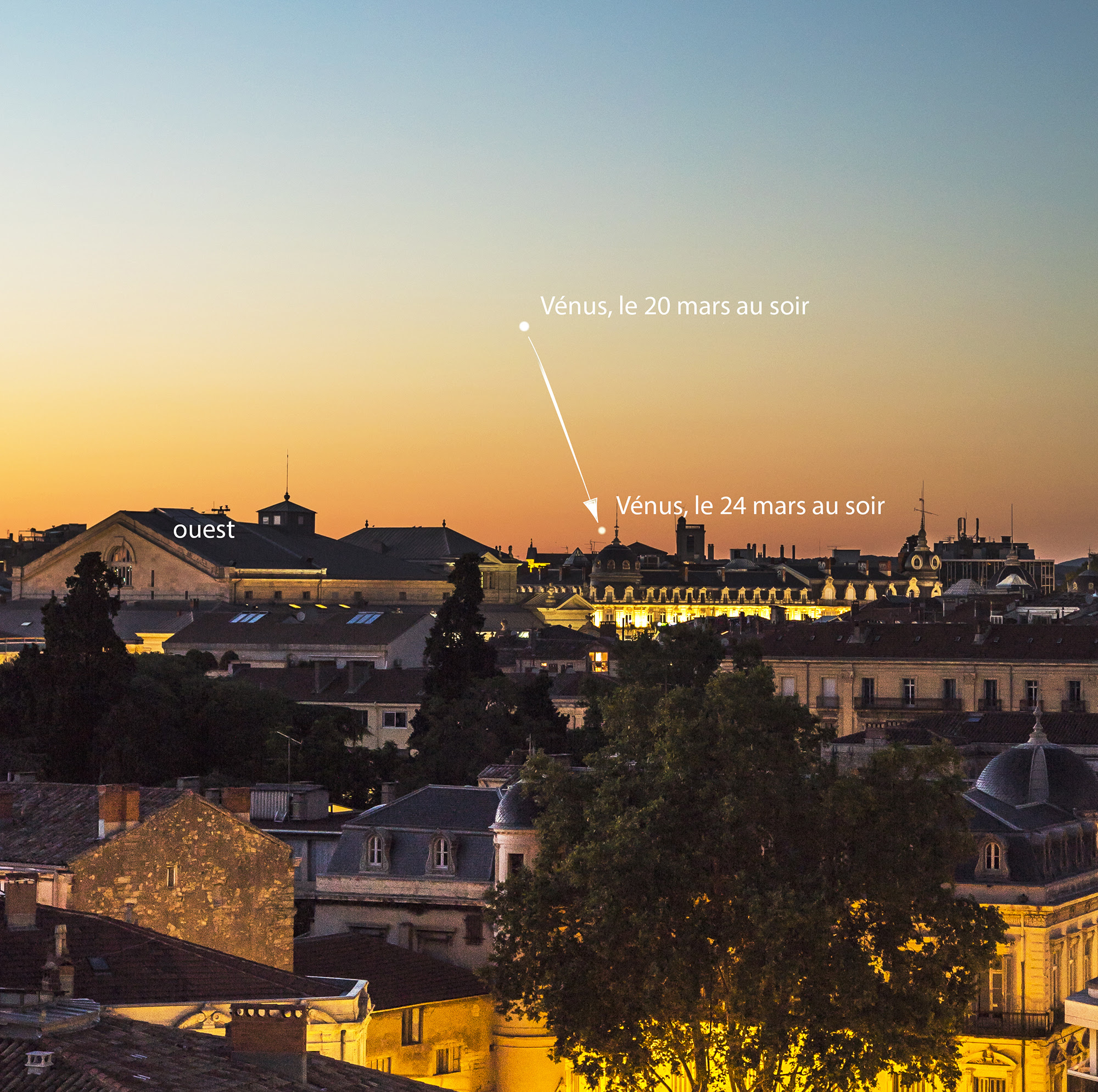 Vénus Devient Pour Quelques Jours La Planète Du Soir Et Du